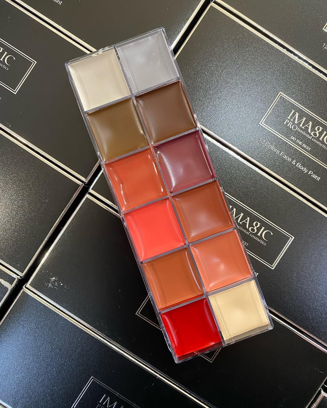 Imagic Lip Palette