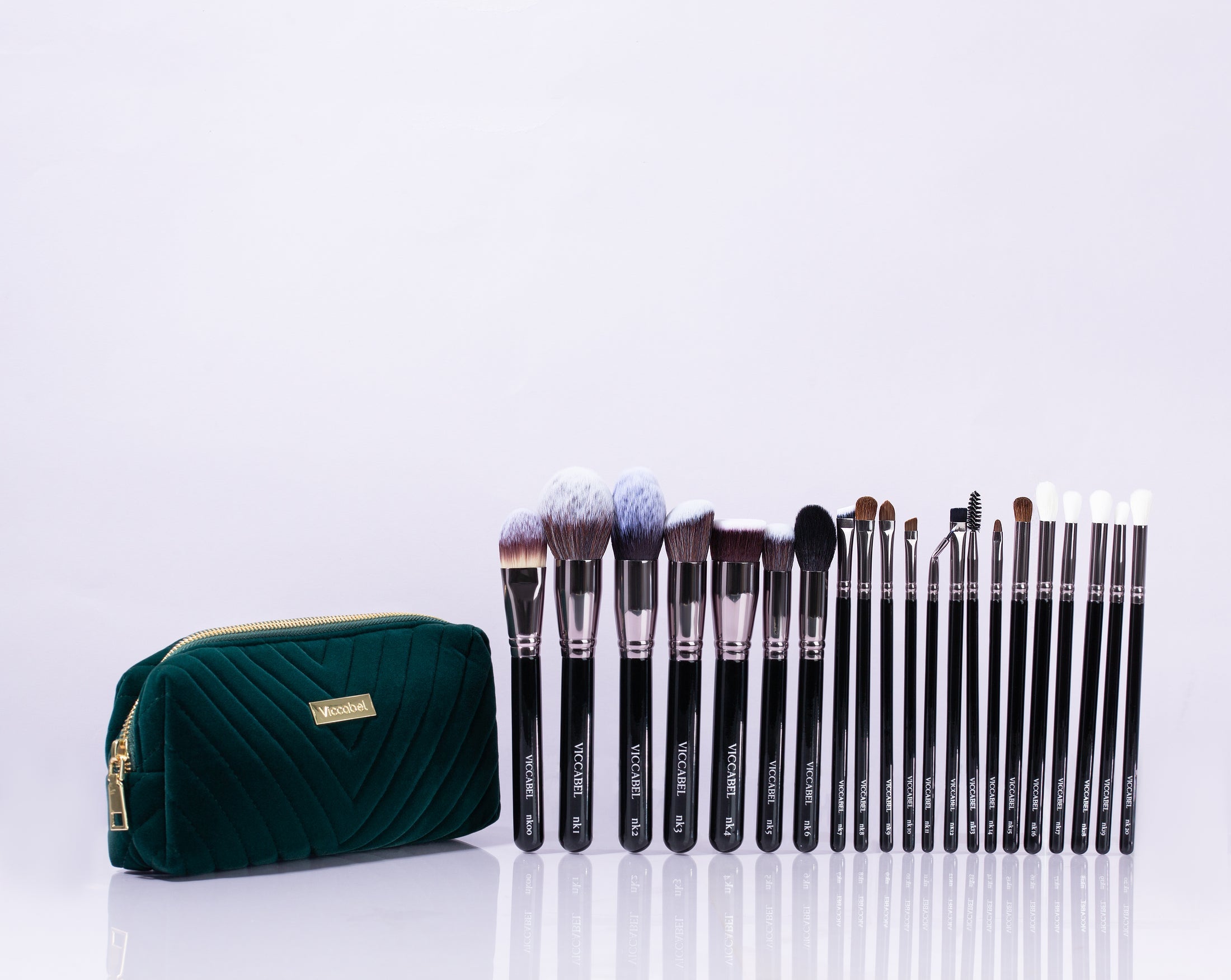 Viccabel 21piece Deluxe Pro Brush Set