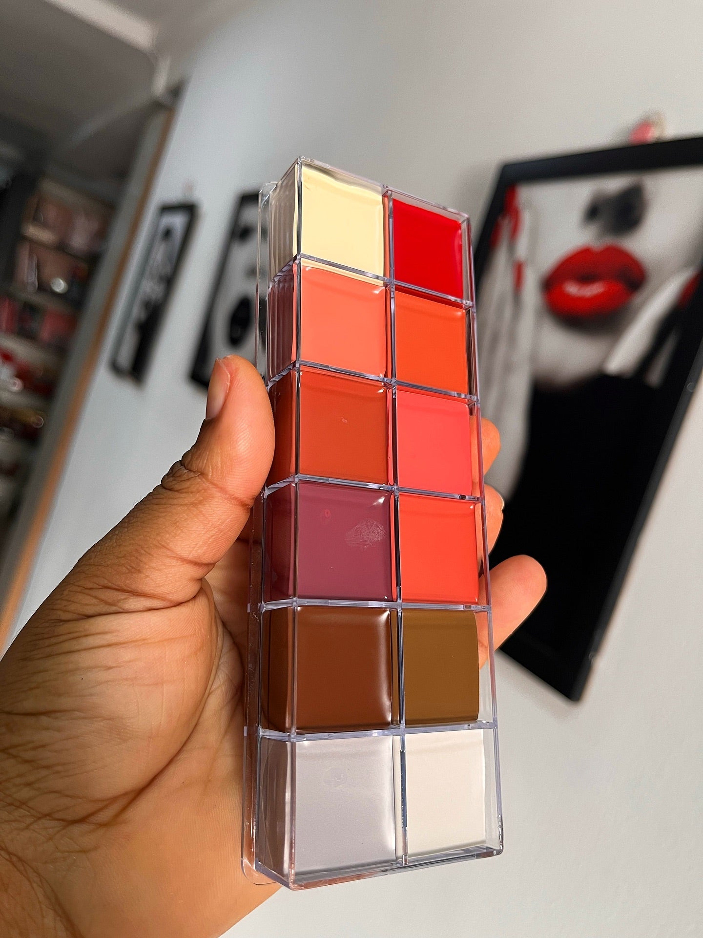 Imagic Lip Palette