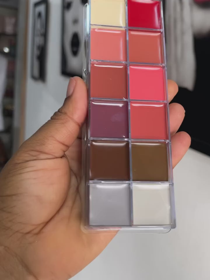 Imagic Lip Palette
